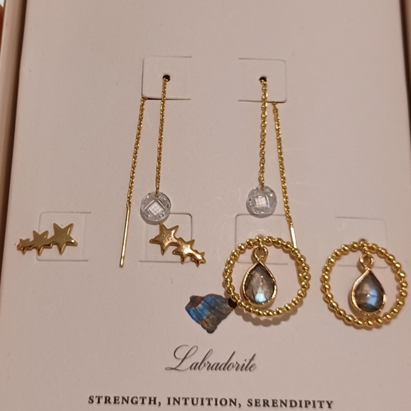 5 PAIRS OF INTERCHANGEABLE EARRINGS BY LUNA NORTE - Picture 11 of 12